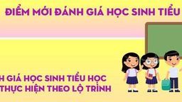 6 điểm mới đánh giá học sinh tiểu học từ 20-10-2020