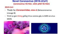TÌNH HÌNH DỊCH BỆNH VÀ BIỆN PHÁP PHÒNG CHỐNG BỆNH VIÊM ĐƯỜNG HÔ HẤP CẤP DO nCoV