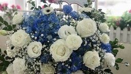 CHI ĐOÀN TRƯỜNG TIỂU HỌC KIM ĐỒNG ĐOÀN KẾT – SÁNG TẠO – XUNG KÍCH