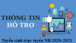 THÔNG TIN HỖ TRỢ CHA MẸ HỌC SINH TUYỂN SINH TRỰC TUYẾN VÀO LỚP 1  NĂM HỌC 2020 - 2021