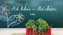 CUỘC THI “ BÉ KHÉO – BÉ CHĂM ” - HOẠT ĐỘNG TRẢI NGHIỆM “ NHẶT RAU MUỐNG” CỦA LỚP 1A6