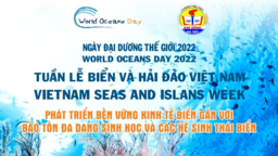 Trường Tiểu học Kim Đồng: Hưởng ứng tuần lễ Biển và hải đảo Việt Nam và ngày Đại dương thế giới năm 2022