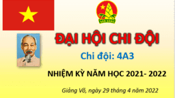 Trường Tiểu học Kim Đồng tiến hành Đại hội Chi đội – Hoạt động kiện toàn Ban Chỉ huy liên đội