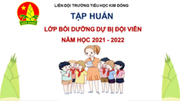 Liên đội Tiểu học Kim Đồng tập huấn Kết nạp Đội viên Chào mừng Ngày thành lập Đoàn TNCS Hồ Chí Minh