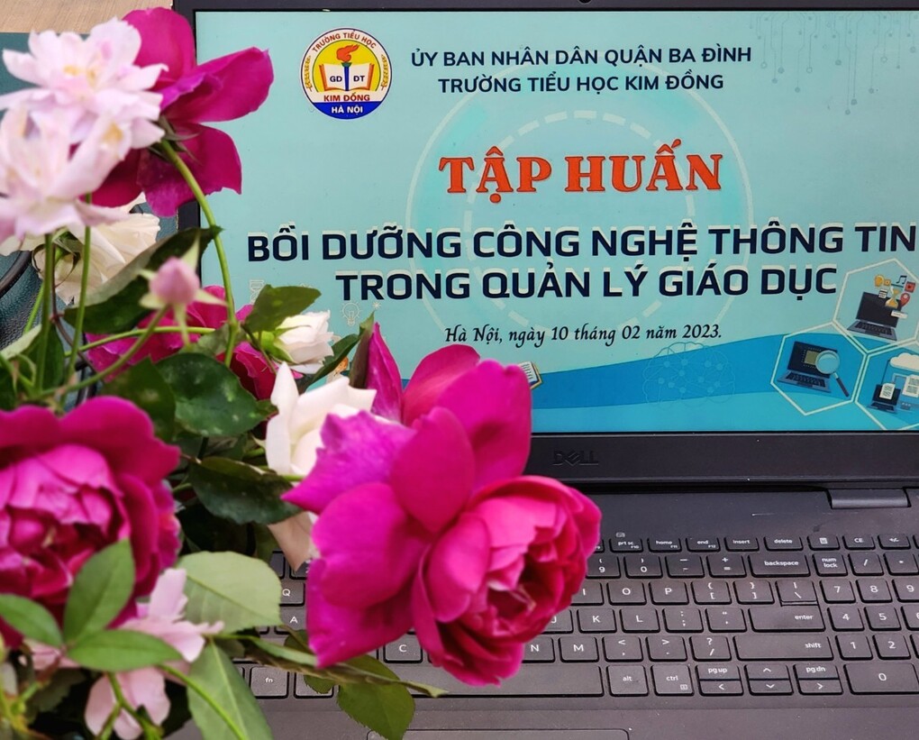 Trường Tiểu học Kim Đồng thực hiện công tác “Tập huấn bồi dưỡng Công nghệ thông tin trong quản lý giáo dục”