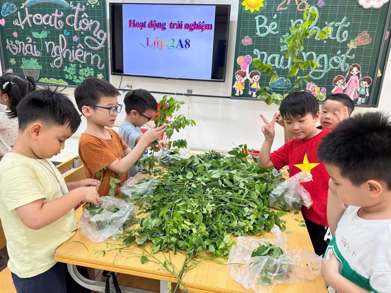 Khi những bàn tay nhỏ lớp 2A8 biết yêu lao động