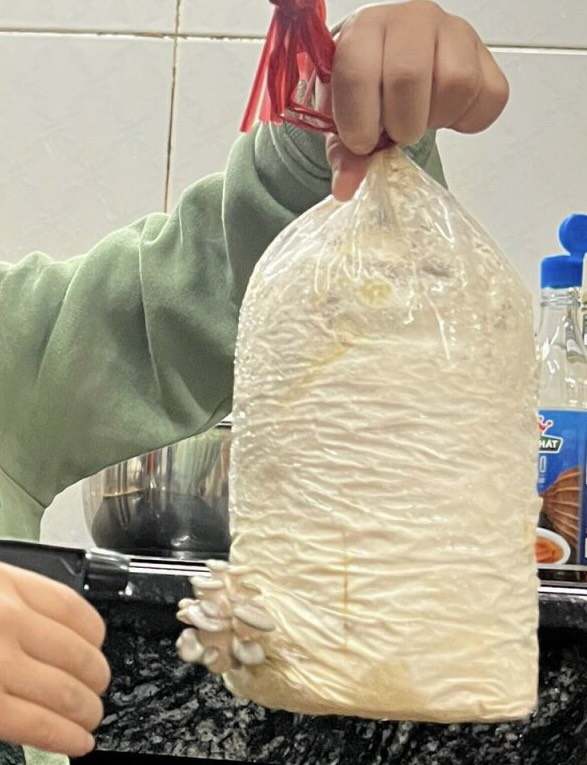 A picture containing indoor, person

Description automatically generated