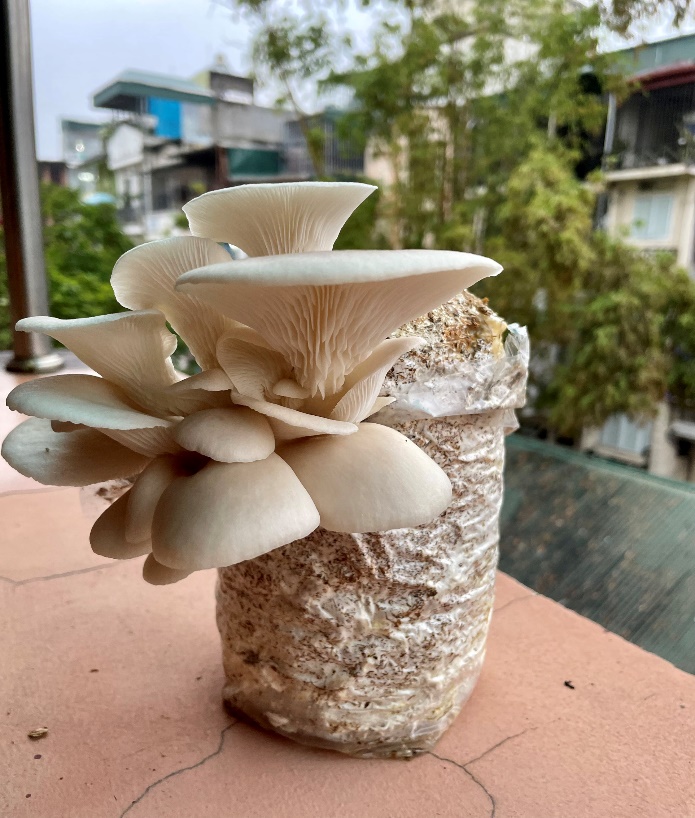 A picture containing ground, outdoor, stone

Description automatically generated