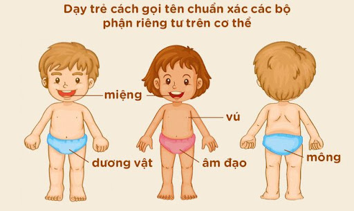 Hãy dạy bé nhận thức với "Bốn vùng riêng tư trên cơ thể mình" và không ai  được phép chạm vào.
