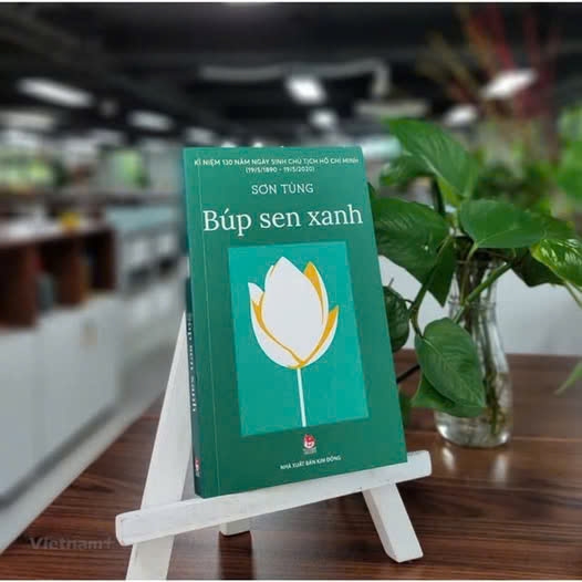 REVIEW TIỂU THUYẾT "BÚP SEN XANH" - SƠN TÙNG - PPC