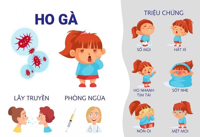 Triệu chứng của bệnh ho gà&nbsp;